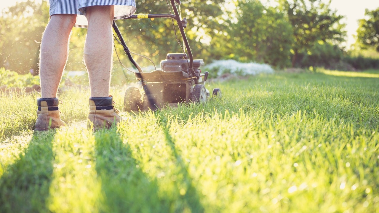 Top 5 Best Shoes for Grass Cutting – Expert’s Opinion